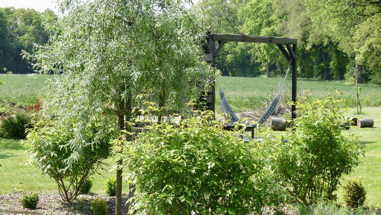 La Ligne Bed & Breakfast Angles-sur-lʼAnglin Екстериор снимка